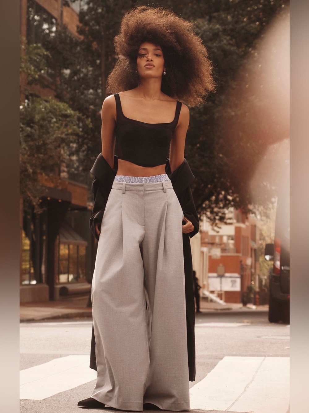 Maeve Light Gray Wide-Leg Pants (Medium Tall)